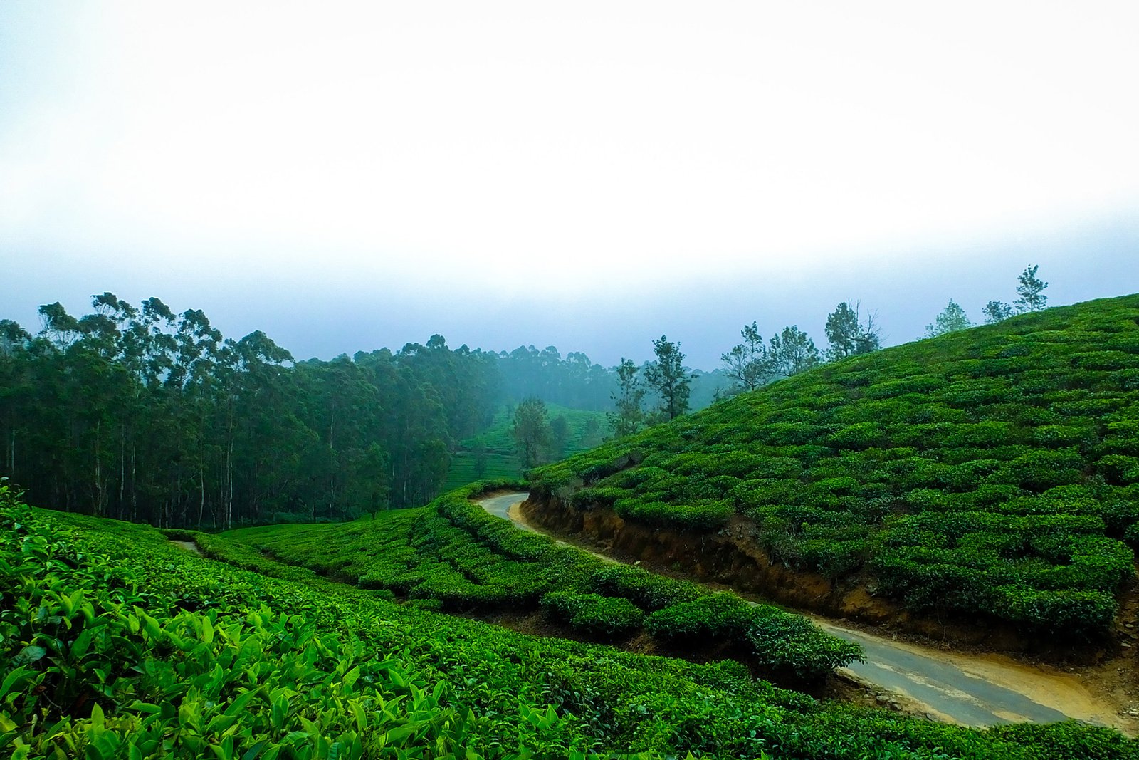 Chennai to Kerala